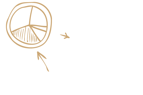 transparent-illustration-02